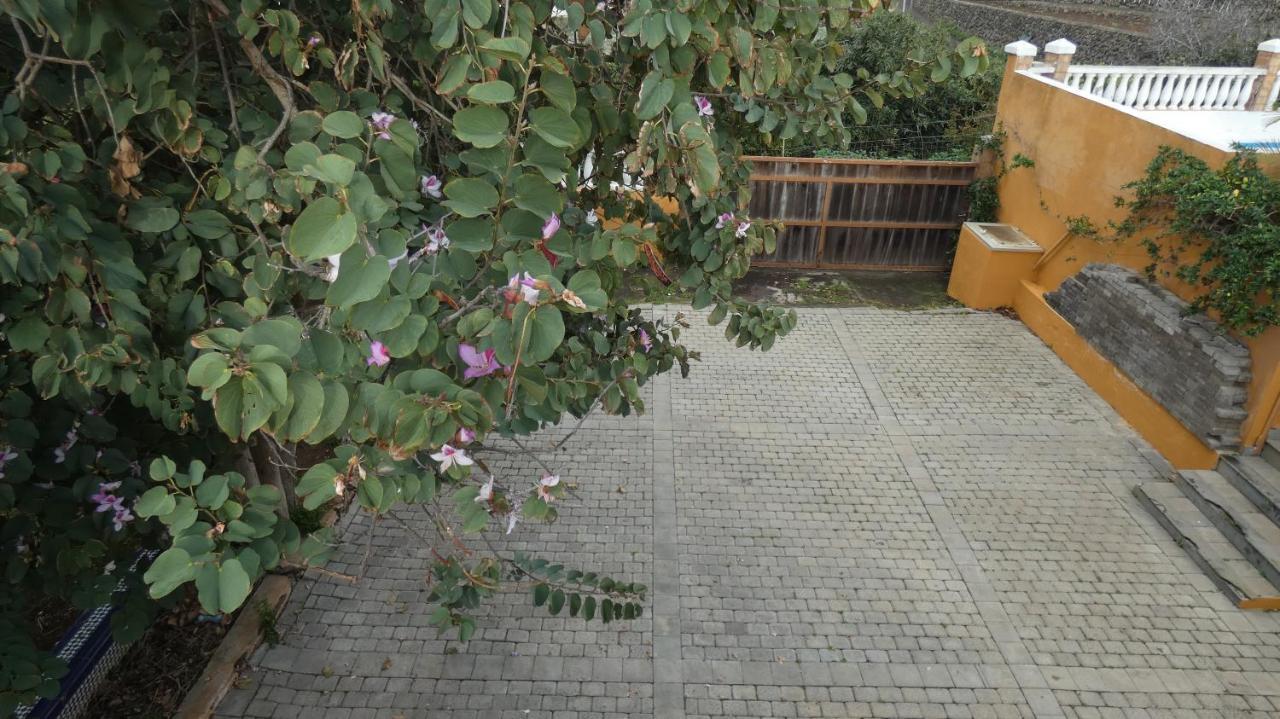 מלון טקורונטה Atlantic Views מראה חיצוני תמונה
